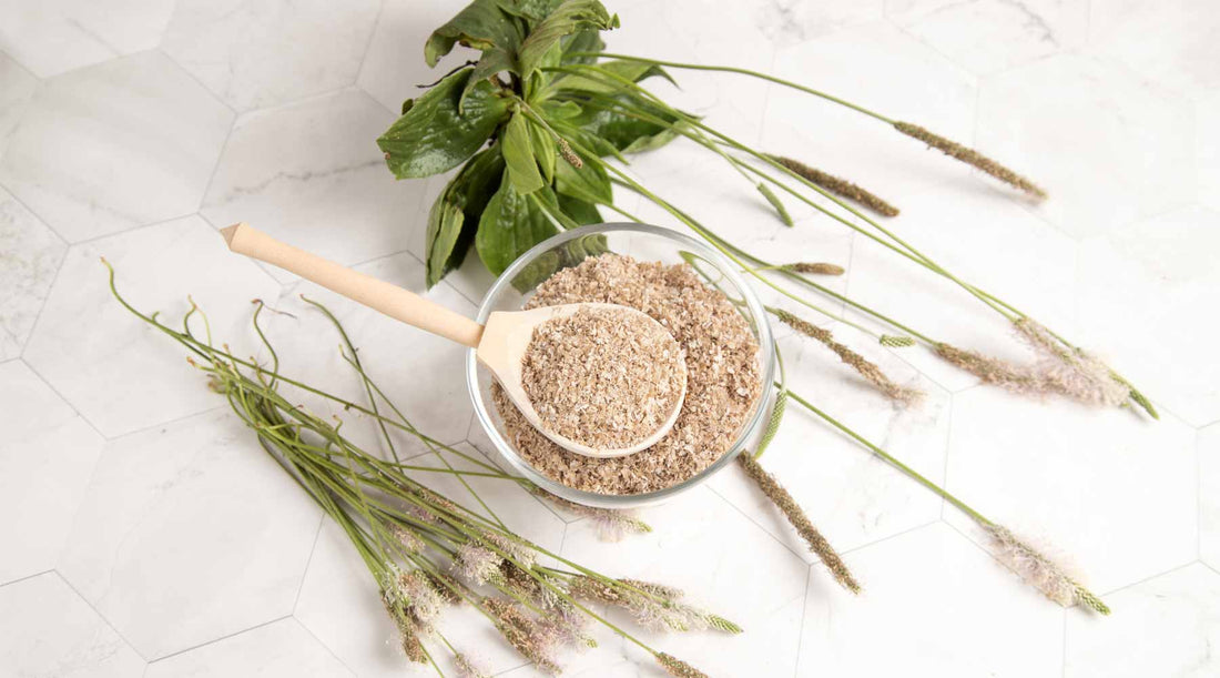 Should you take Psyllium husk? And Why