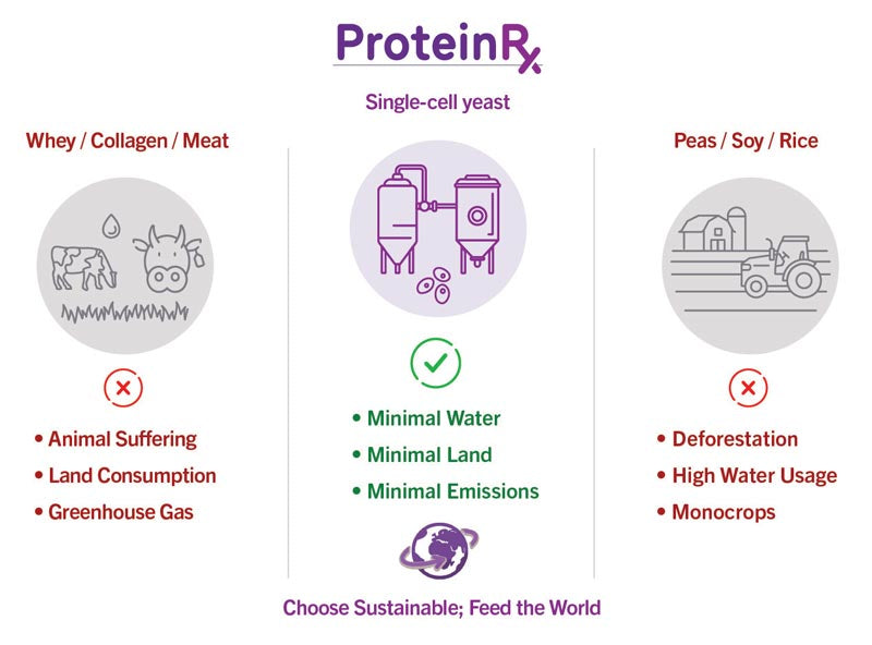 ProteinRx | Yeast Protein Isolate